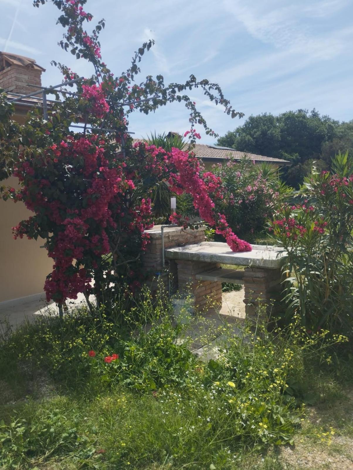 Appartamenti Mirella Capoliveri  Luaran gambar